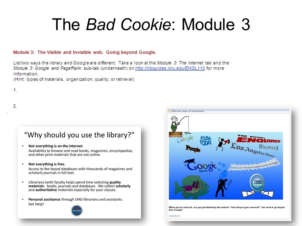 The Bad Cookie: Module 3