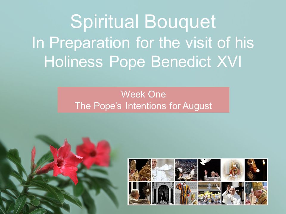Spiritual Bouquet In Preparation for the visit of his Holiness Pope Benedict XVI Week One The Pope’s Intentions for August
