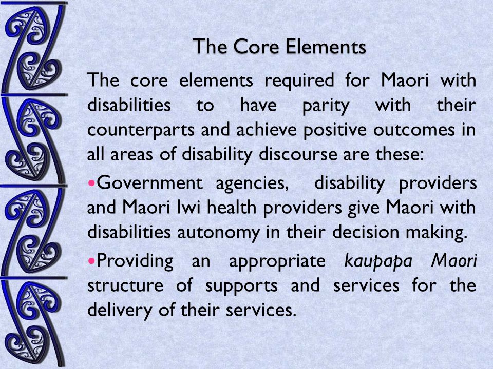 The Core Elements The core elements required for Maori with disabilities to have parity with their counterparts and achieve positive outcomes in all areas of disability discourse are these: Government agencies, disability providers and Maori Iwi health providers give Maori with disabilities autonomy in their decision making.