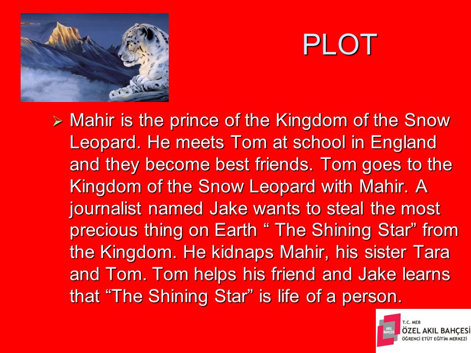 PLOT  Mahir is the prince of the Kingdom of the Snow Leopard.