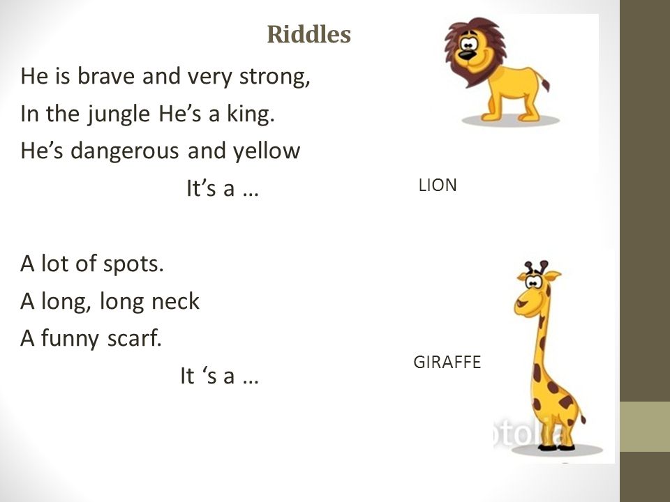 Look at the animals. Riddles Green and long A very long nose With many  teeth. It grows and grows Beautiful smile - He is huge and likes fun It's …  A CROCODILE. -