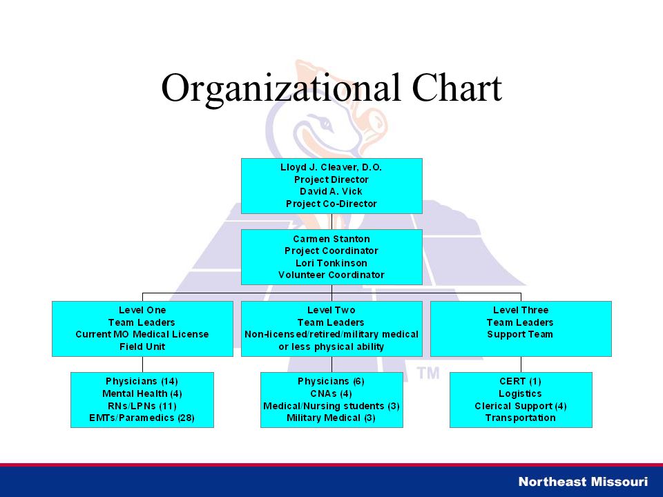 Wakemed Organizational Chart