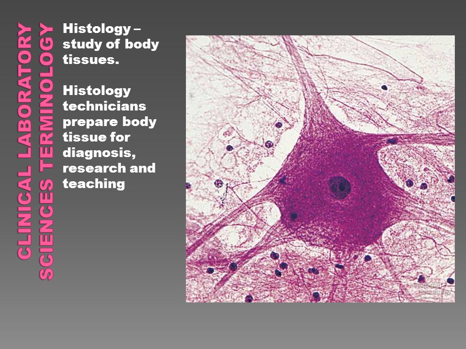 Histology – study of body tissues.