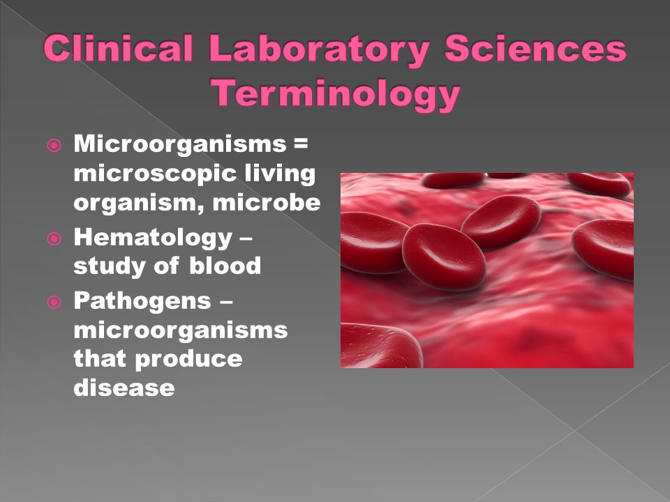  Microorganisms = microscopic living organism, microbe  Hematology – study of blood  Pathogens – microorganisms that produce disease