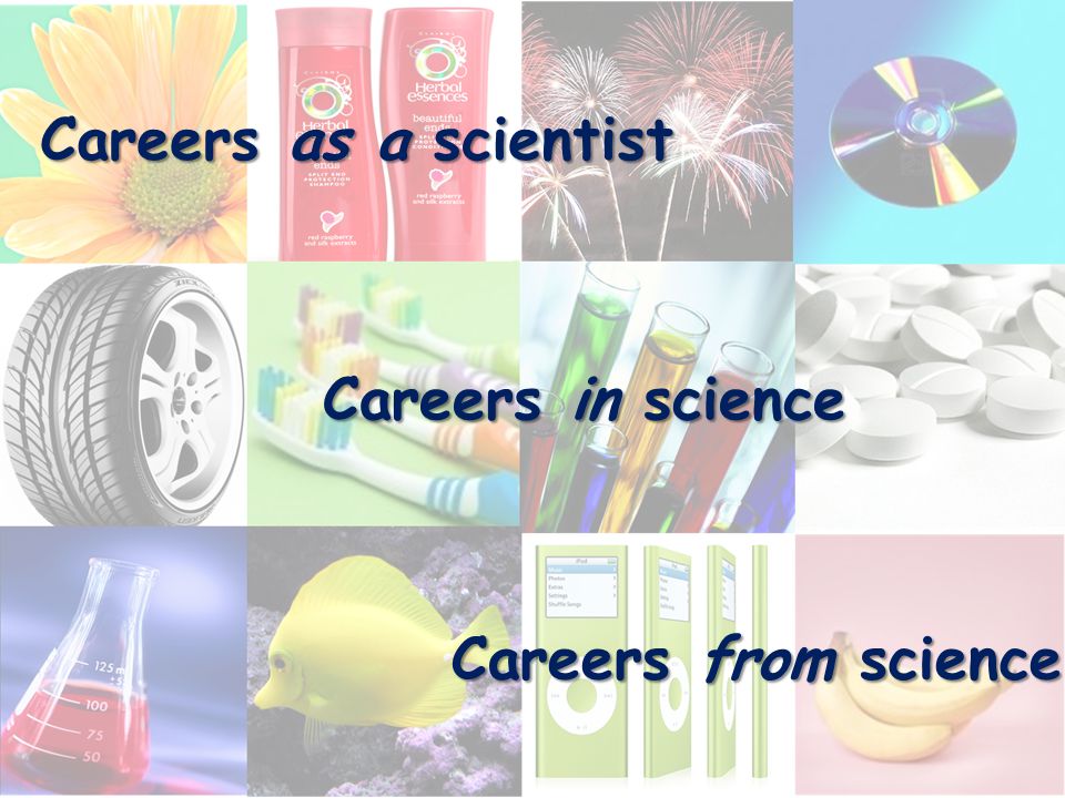 Careers as a scientist Careers in science Careers from science