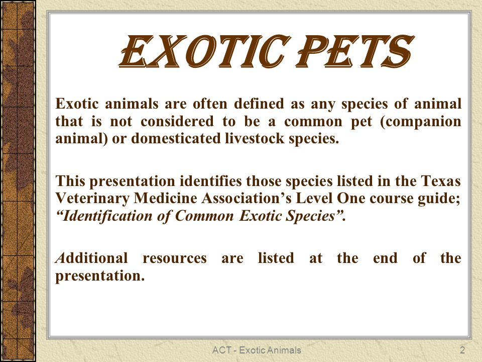 ACT - Exotic Animals1. 2 Exotic Pets Exotic animals are often defined as  any species of animal that is not considered to be a common pet (companion  animal) - ppt download