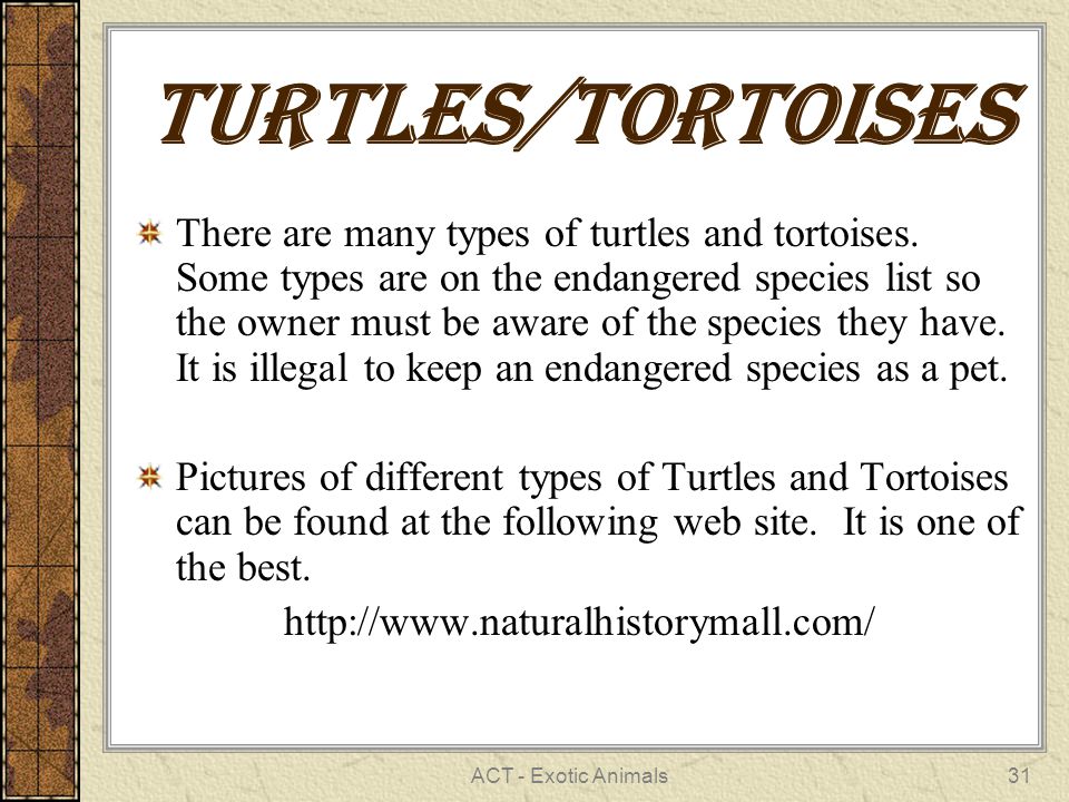 ACT - Exotic Animals31 Turtles/Tortoises There are many types of turtles and tortoises.