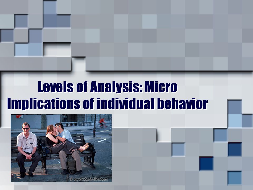 Levels of Analysis: Micro Implications of individual behavior