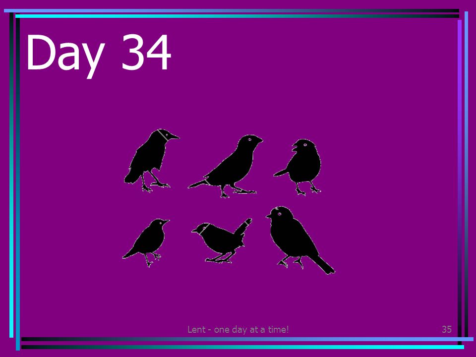 Lent - one day at a time!35 Day 34 Find a way of helping wild birds around your home or school.