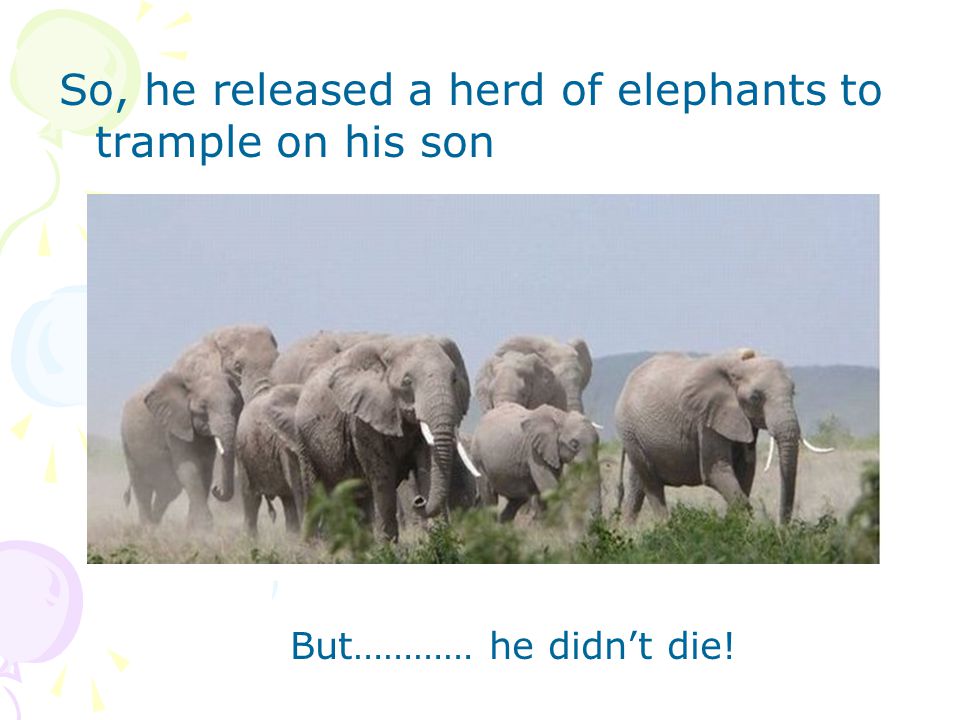 So, he released a herd of elephants to trample on his son But………… he didn’t die!