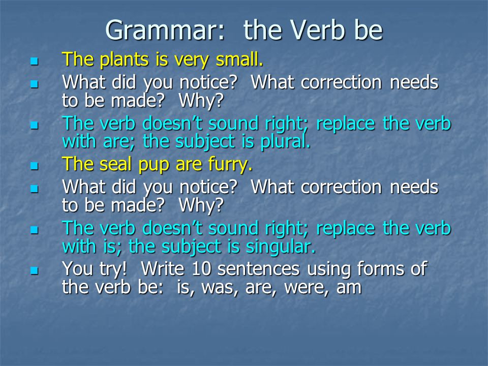 Grammar: the Verb be The plants is very small. The plants is very small.