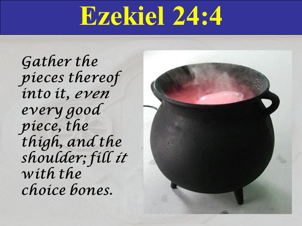 Ezekiel 24:4 Gather the pieces thereof into it, even every good piece, the thigh, and the shoulder; fill it with the choice bones.