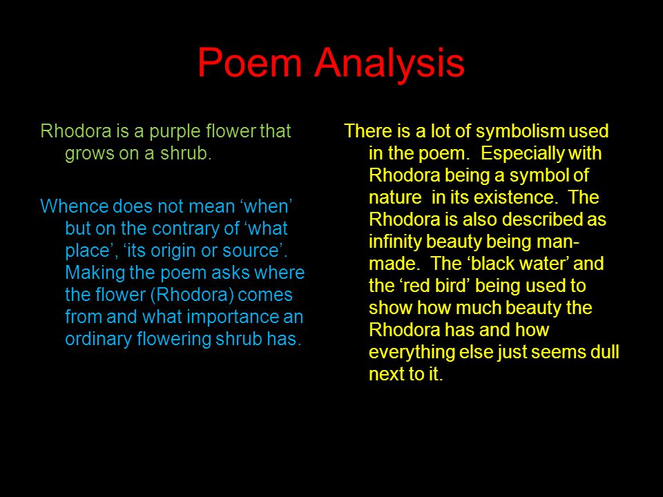 what is the message of the rhodora