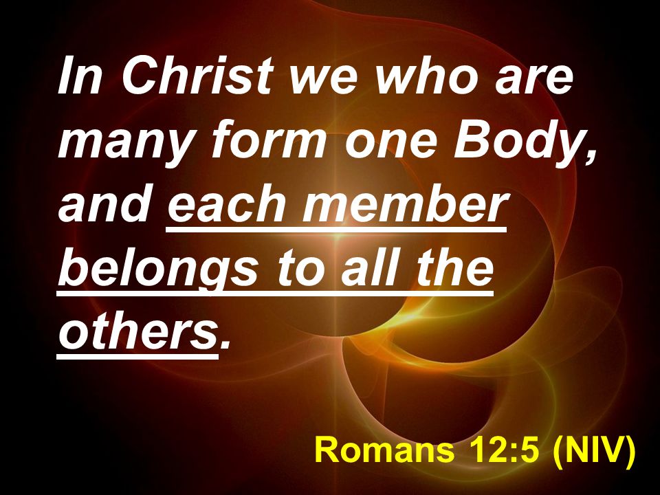 Romans 12:5 (NIV) In Christ we who are many form one Body, and each member belongs to all the others.