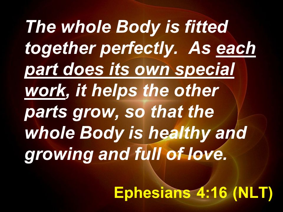Ephesians 4:16 (NLT) The whole Body is fitted together perfectly.