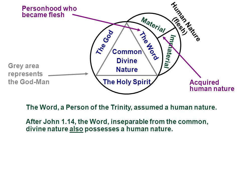 Doctrines the Trinity & The Deity of Christ as revealed in John's prologue. - ppt download