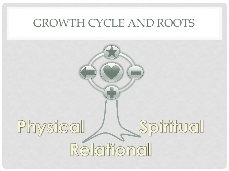 GROWTH CYCLE AND ROOTS
