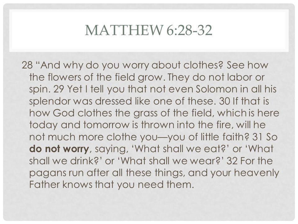MATTHEW 6: And why do you worry about clothes.