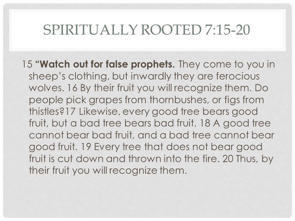 SPIRITUALLY ROOTED 7: Watch out for false prophets.