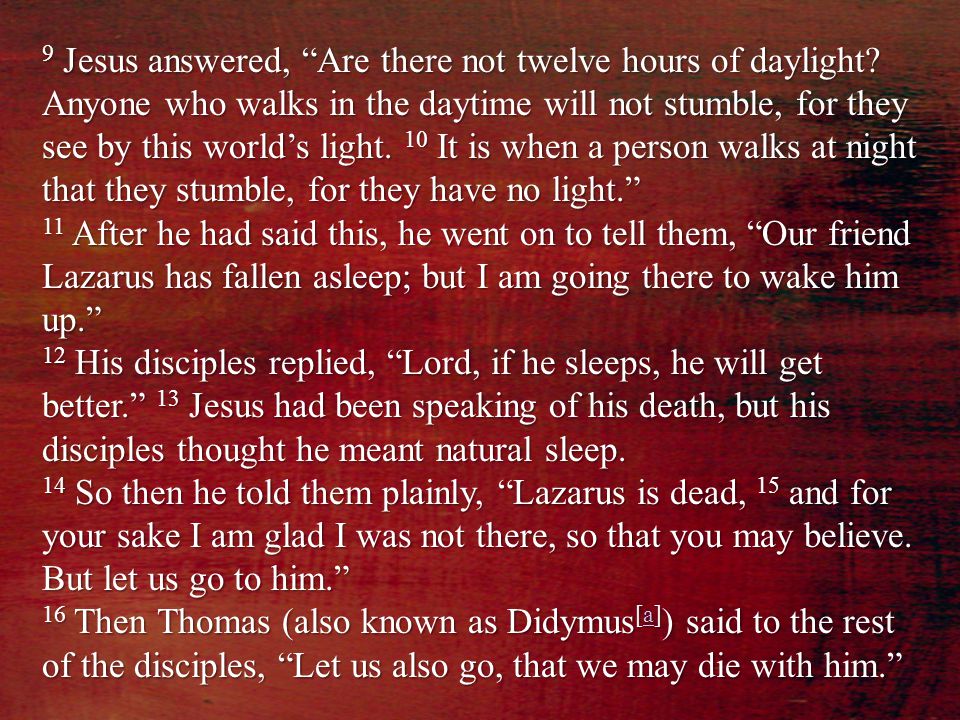 9 Jesus answered, Are there not twelve hours of daylight.