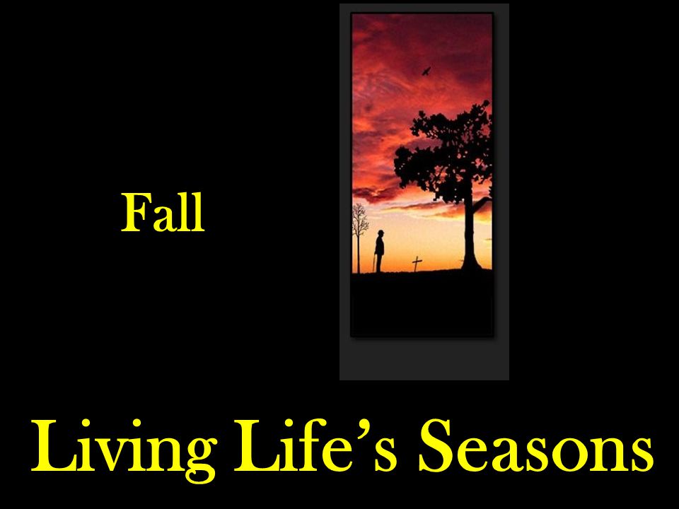 Living Life’s Seasons Fall