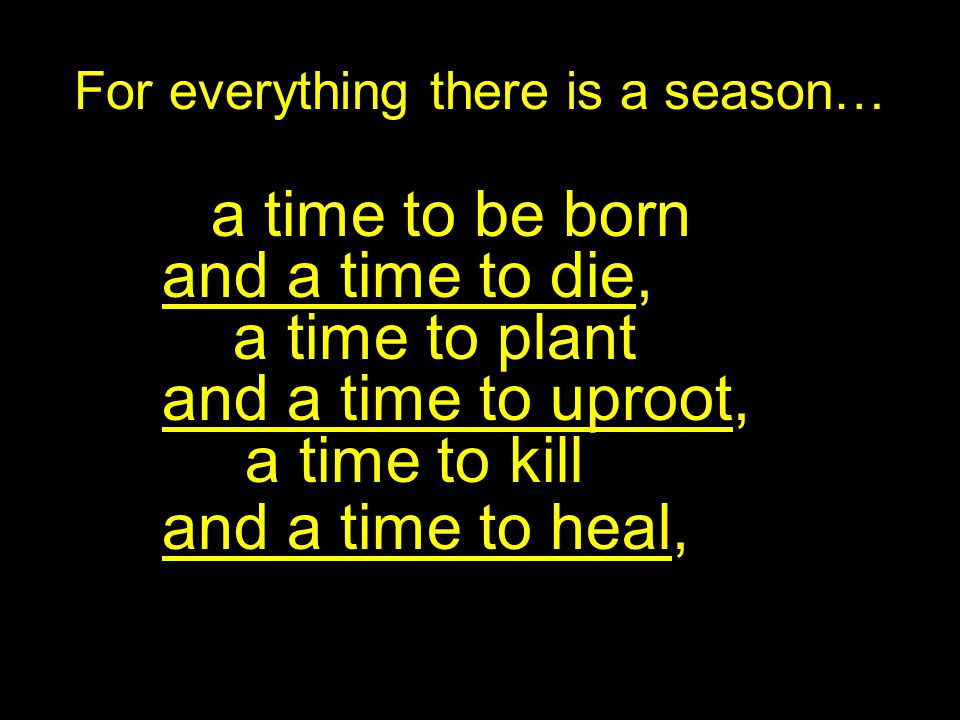 For everything there is a season… a time to be born and a time to die, a time to plant and a time to uproot, a time to kill and a time to heal,