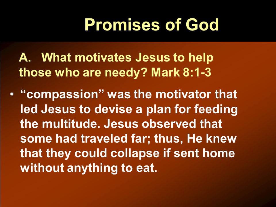 Promises of God compassion was the motivator that led Jesus to devise a plan for feeding the multitude.