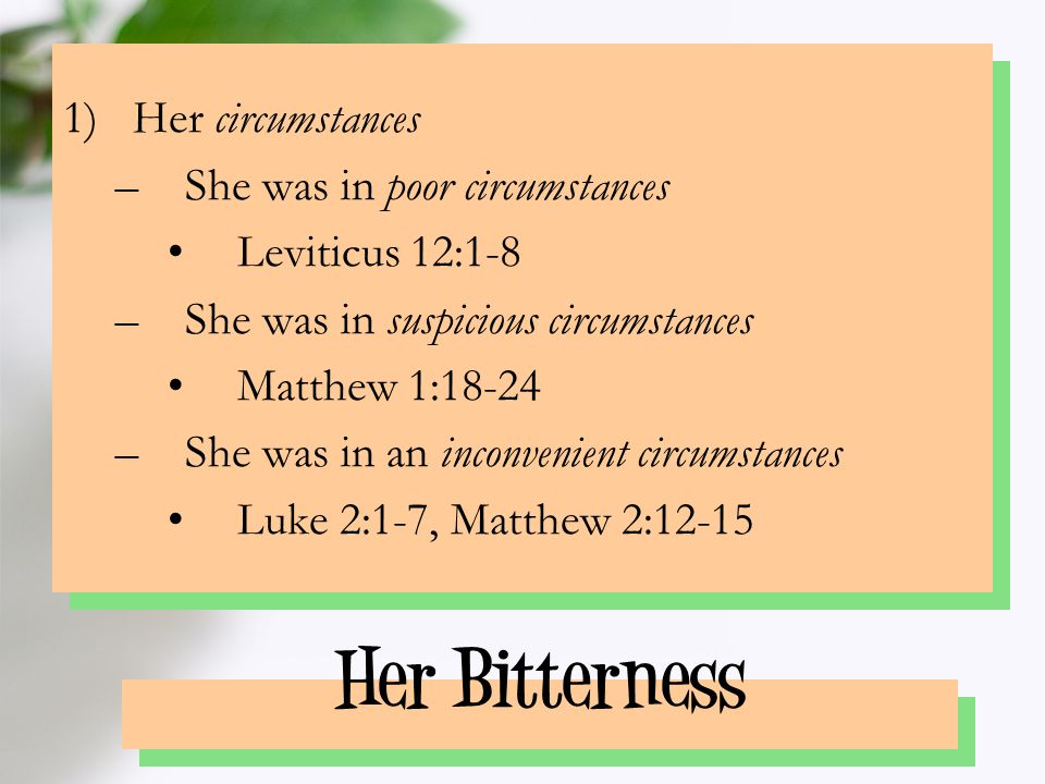 Her Bitterness 1)Her circumstances –She was in poor circumstances Leviticus 12:1-8 –She was in suspicious circumstances Matthew 1:18-24 –She was in an inconvenient circumstances Luke 2:1-7, Matthew 2:12-15