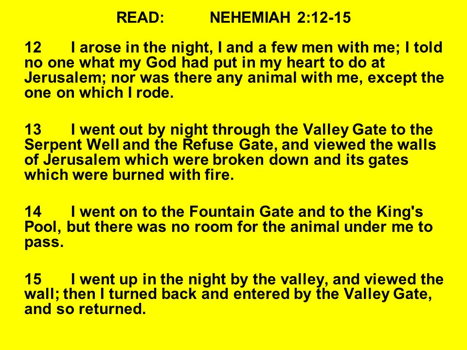READ:NEHEMIAH 2: I arose in the night, I and a few men with me; I told no one what my God had put in my heart to do at Jerusalem; nor was there any animal with me, except the one on which I rode.