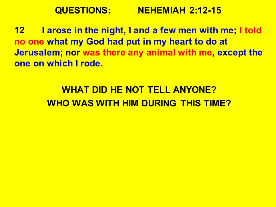 QUESTIONS:NEHEMIAH 2: I arose in the night, I and a few men with me; I told no one what my God had put in my heart to do at Jerusalem; nor was there any animal with me, except the one on which I rode.