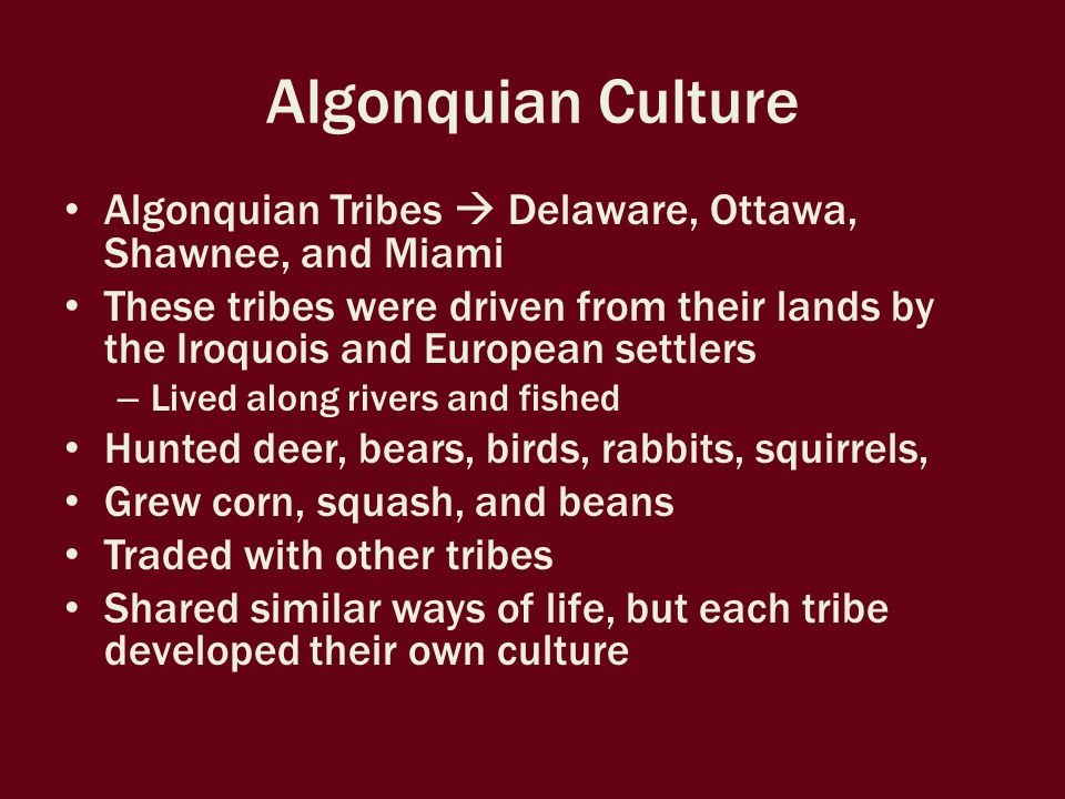 Algonquian Culture Algonquian Tribes  Delaware, Ottawa, Shawnee, and Miami These tribes were driven from their lands by the Iroquois and European settlers – Lived along rivers and fished Hunted deer, bears, birds, rabbits, squirrels, Grew corn, squash, and beans Traded with other tribes Shared similar ways of life, but each tribe developed their own culture