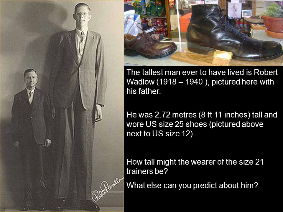 From How long, in centimetres, do you think a size 21 shoe will be? Why? -  ppt download