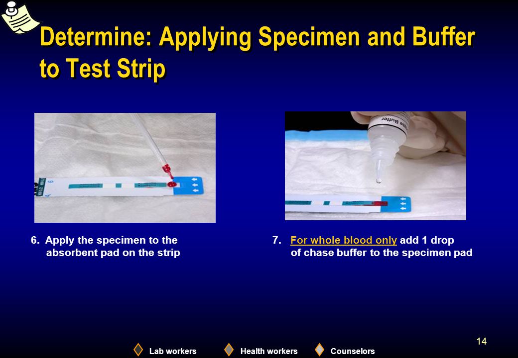 Lab workersHealth workersCounselors 14 Determine: Applying Specimen and Buffer to Test Strip 7.