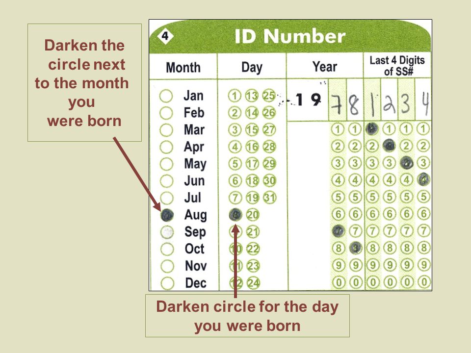 Darken the circle next to the month you were born Darken circle for the day you were born