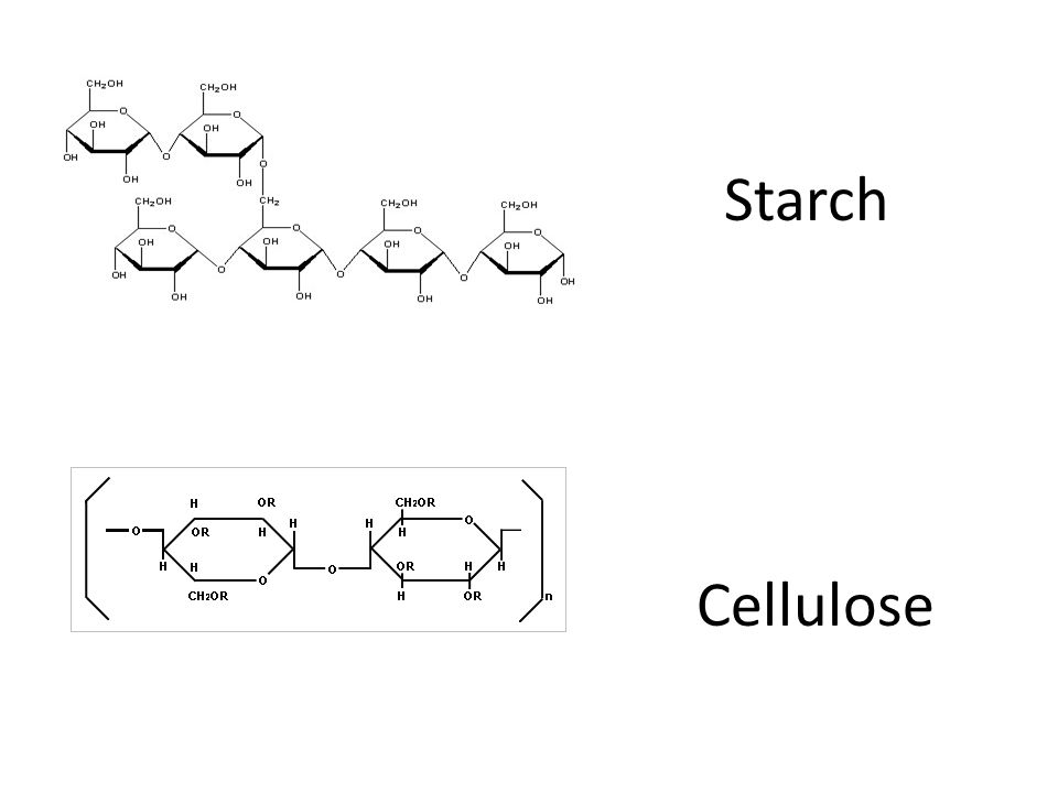Starch Cellulose