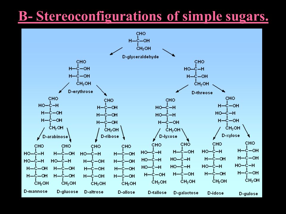 B- Stereoconfigurations of simple sugars.