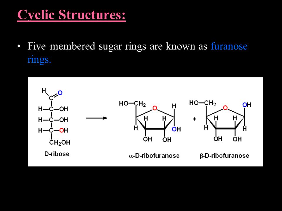 Cyclic Structures: Five membered sugar rings are known as furanose rings.