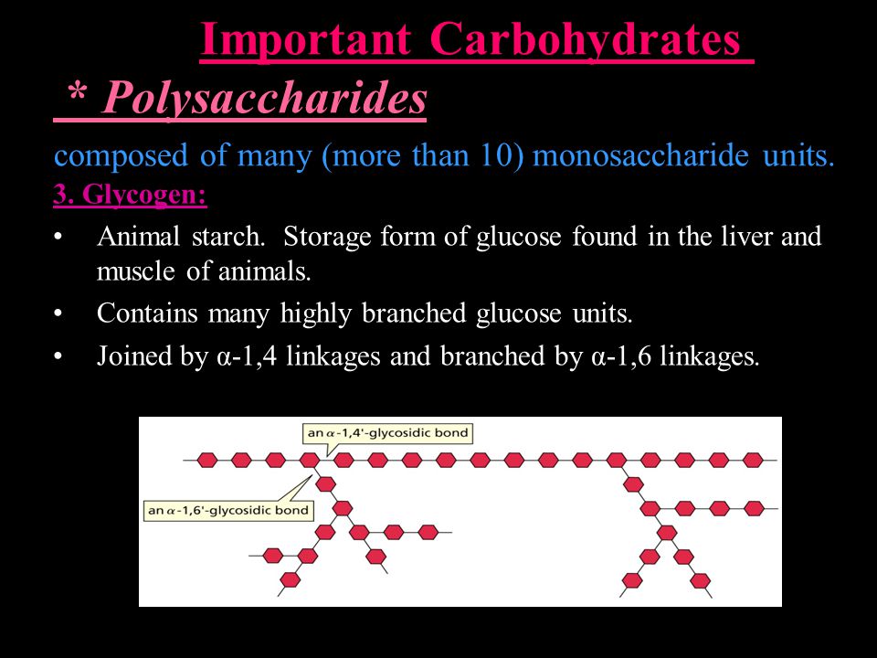 Important Carbohydrates * Polysaccharides composed of many (more than 10) monosaccharide units.