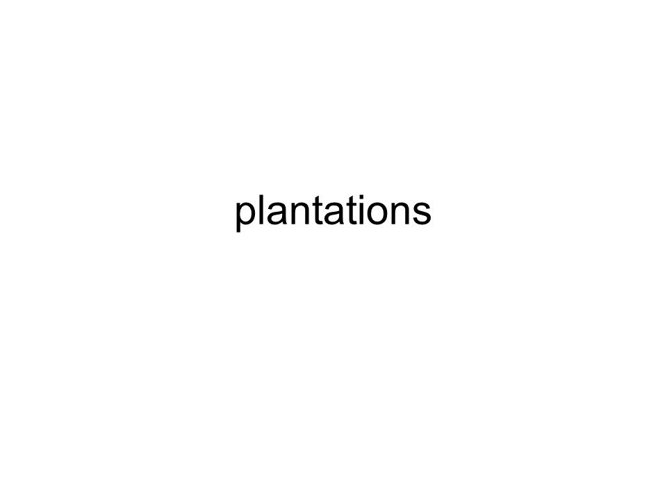 plantations