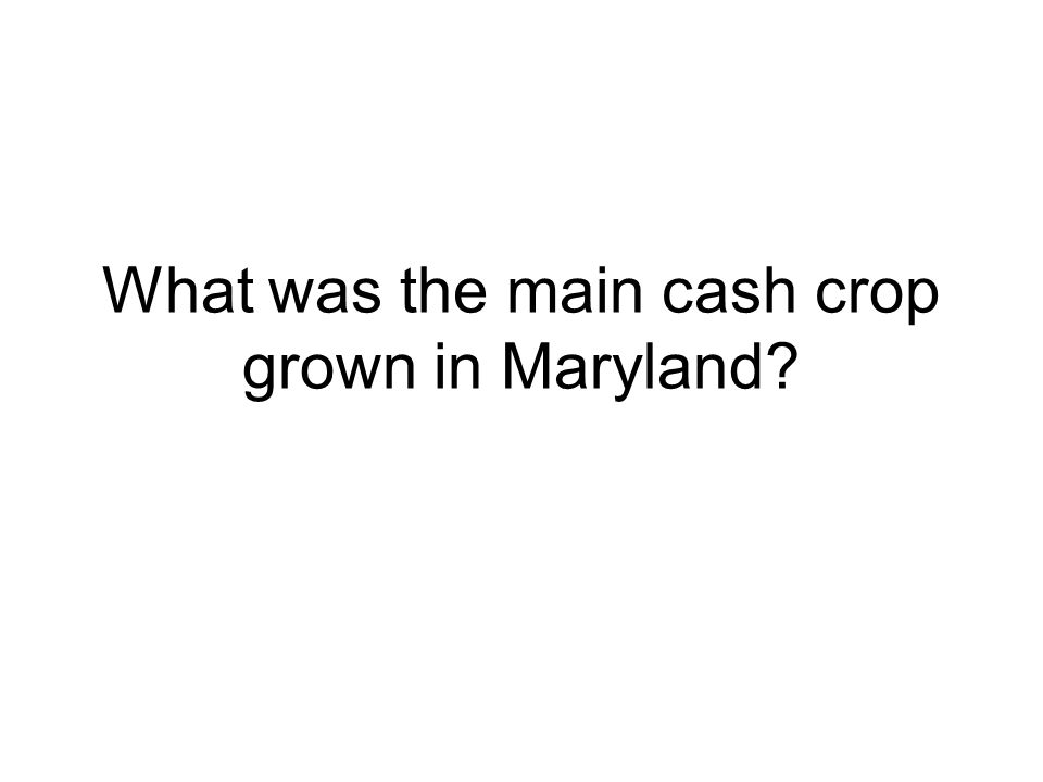 What was the main cash crop grown in Maryland