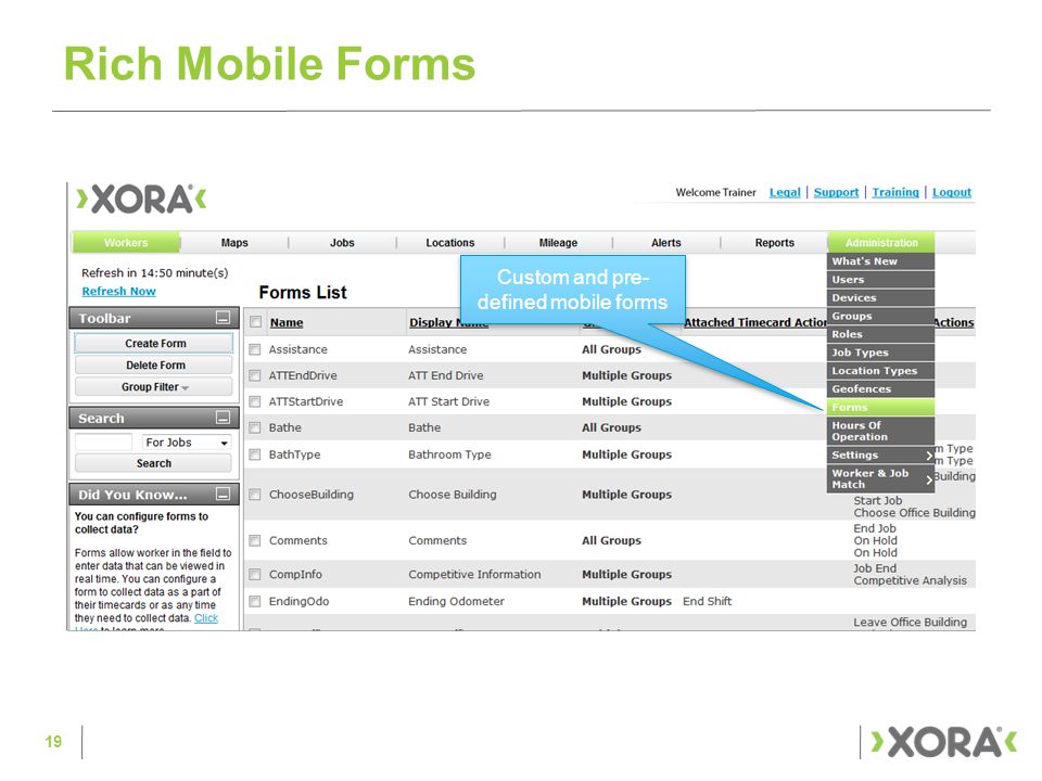 Rich Mobile Forms Custom and pre- defined mobile forms 19
