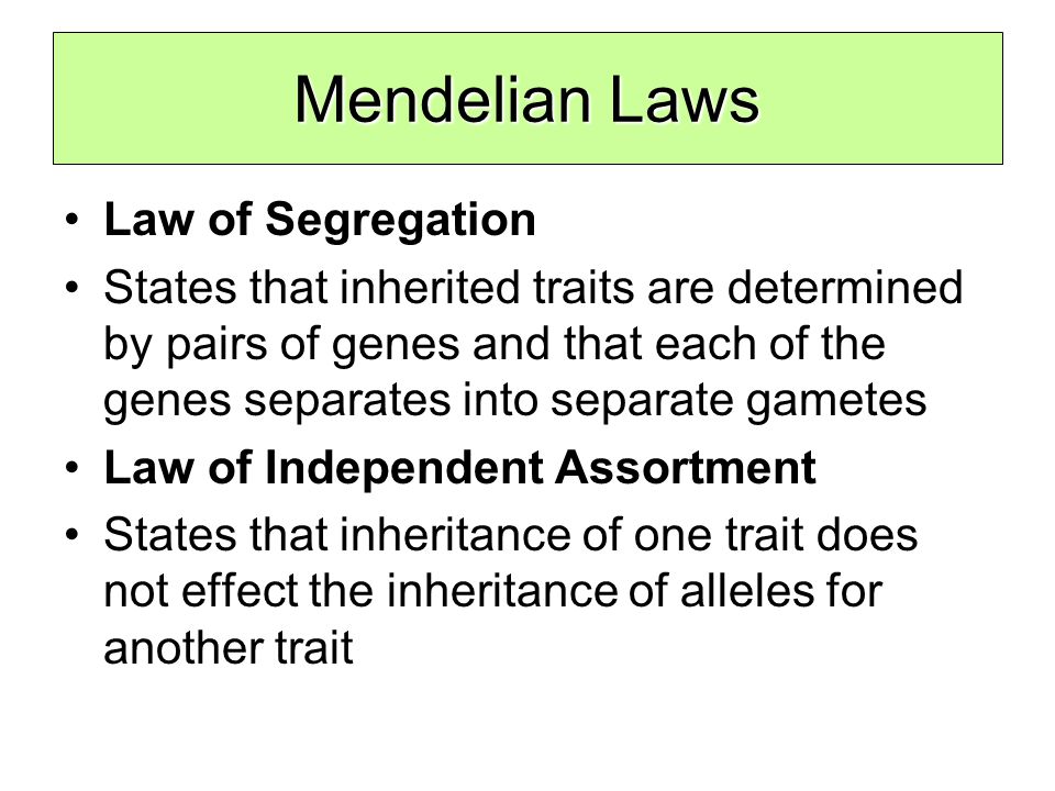 States of segregation that principle mendelâ€™s