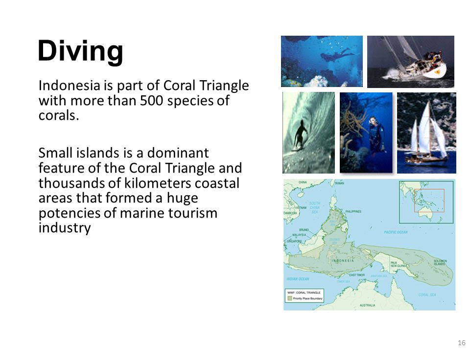 Indonesia is part of Coral Triangle with more than 500 species of corals.