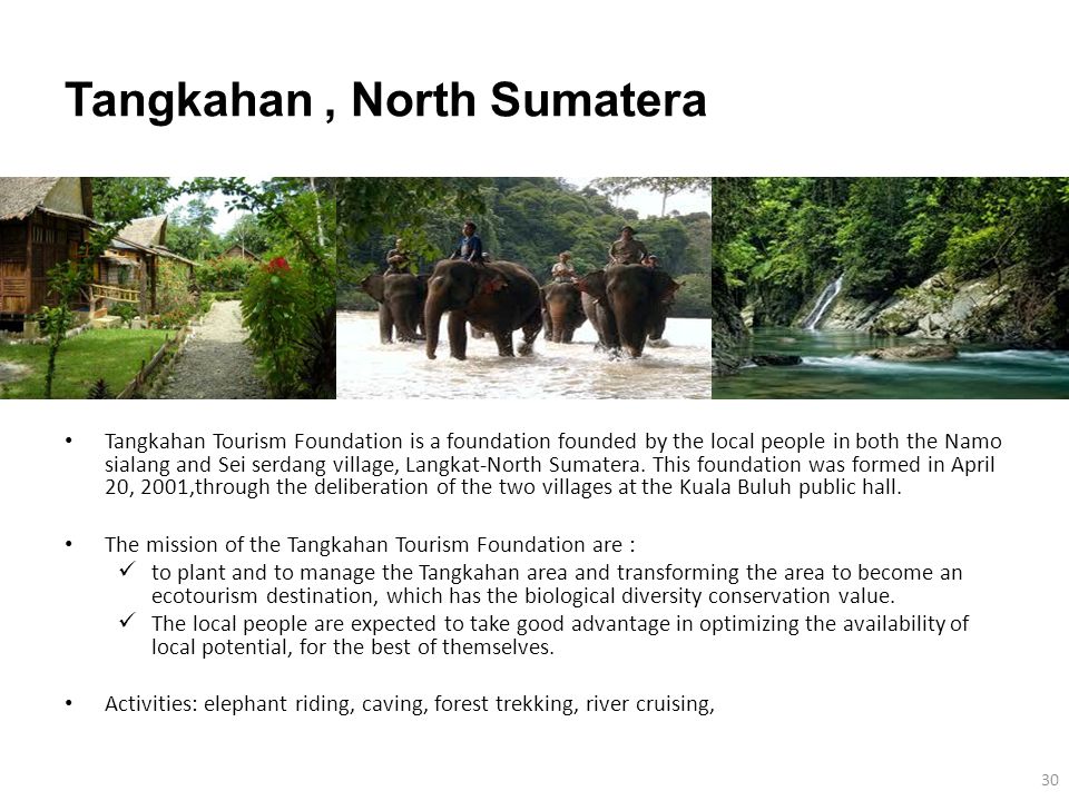 Tangkahan, North Sumatera Tangkahan Tourism Foundation is a foundation founded by the local people in both the Namo sialang and Sei serdang village, Langkat-North Sumatera.
