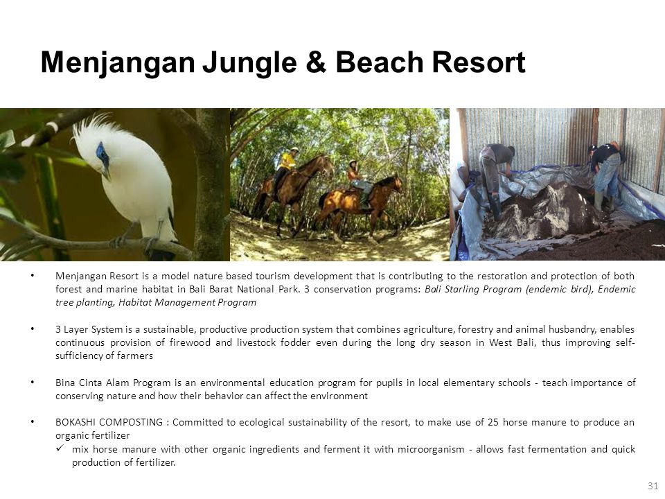 Menjangan Jungle & Beach Resort Menjangan Resort is a model nature based tourism development that is contributing to the restoration and protection of both forest and marine habitat in Bali Barat National Park.