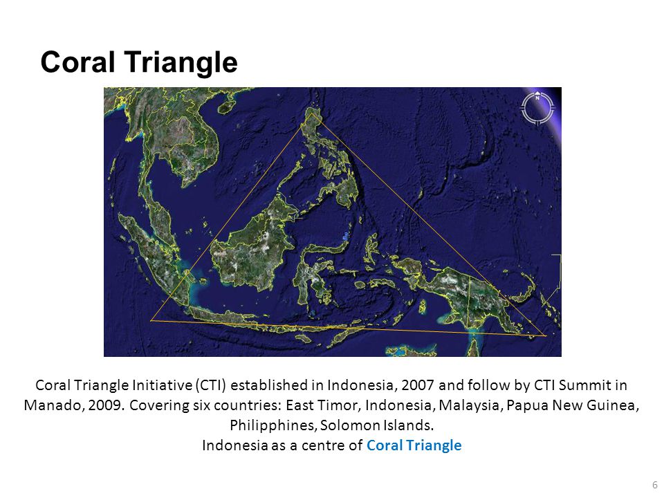 Coral Triangle 6 Coral Triangle Initiative (CTI) established in Indonesia, 2007 and follow by CTI Summit in Manado, 2009.