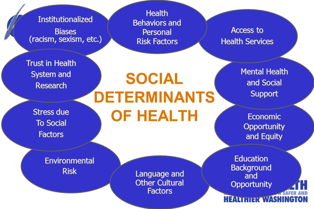 EnvironmentalRisk Stress due To Social Factors Institutionalized Biases (racism, sexism, etc.) Language and Other Cultural Factors EconomicOpportunity and Equity EducationBackgroundandOpportunity Mental Health and Social Support Access to Health Services Health Behaviors and Personal Risk Factors Trust in Health System and Research SOCIAL DETERMINANTS OF HEALTH