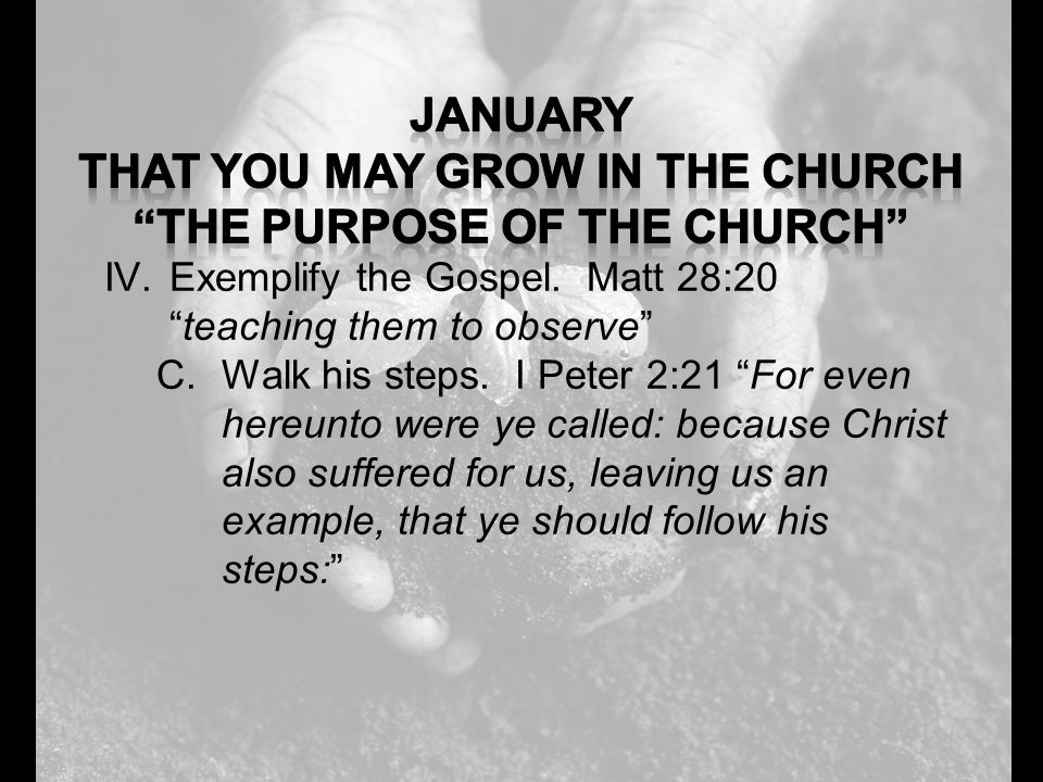 IV.Exemplify the Gospel. Matt 28:20 teaching them to observe C.Walk his steps.