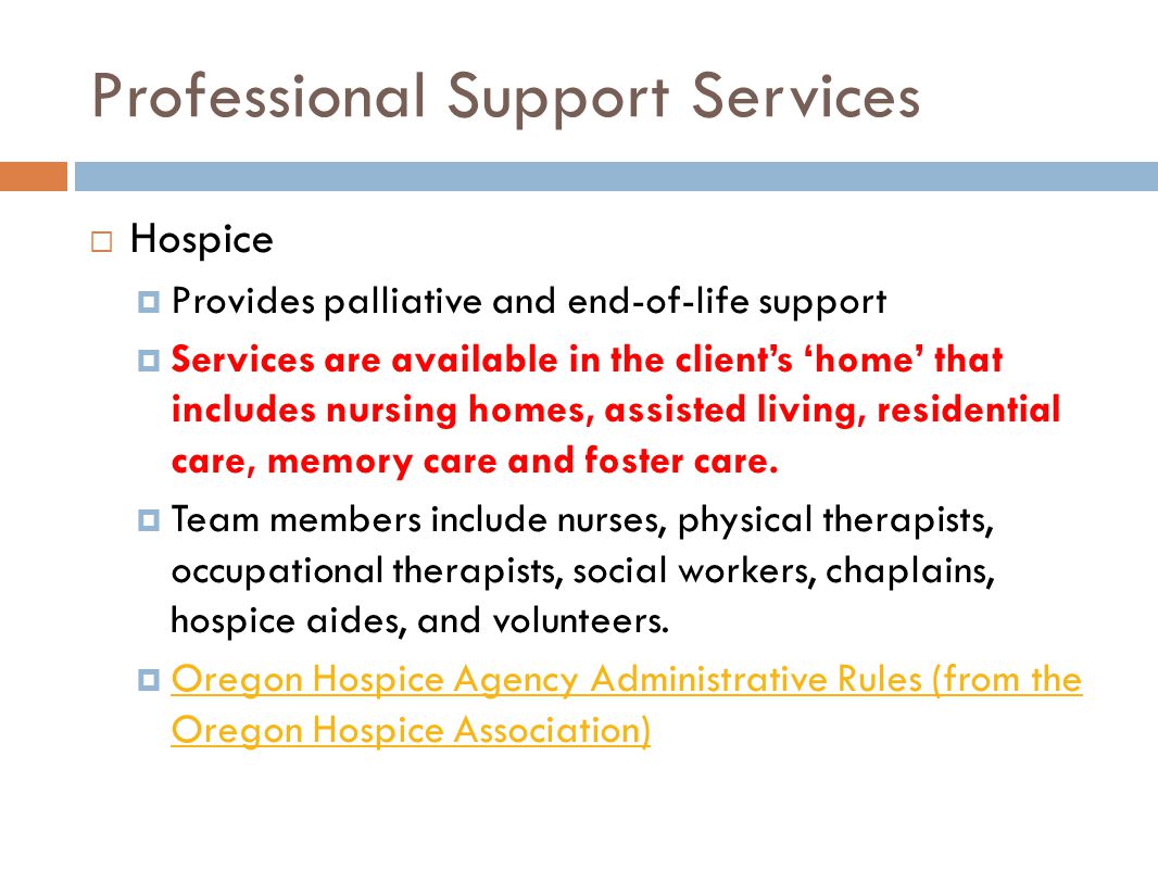 Professional Support Services  Hospice  Provides palliative and end-of-life support  Services are available in the client’s ‘home’ that includes nursing homes, assisted living, residential care, memory care and foster care.