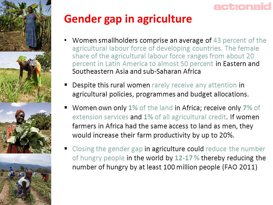 Gender gap in agriculture Women smallholders comprise an average of 43 percent of the agricultural labour force of developing countries.